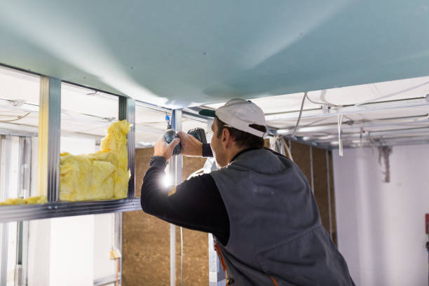 Best Cellulose Insulation in George Mason, VA