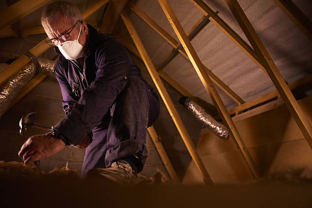 Best Commercial Insulation in George Mason, VA